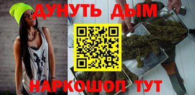 мдпв Бийск