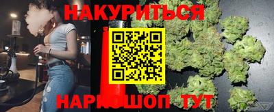 мдпв Бийск