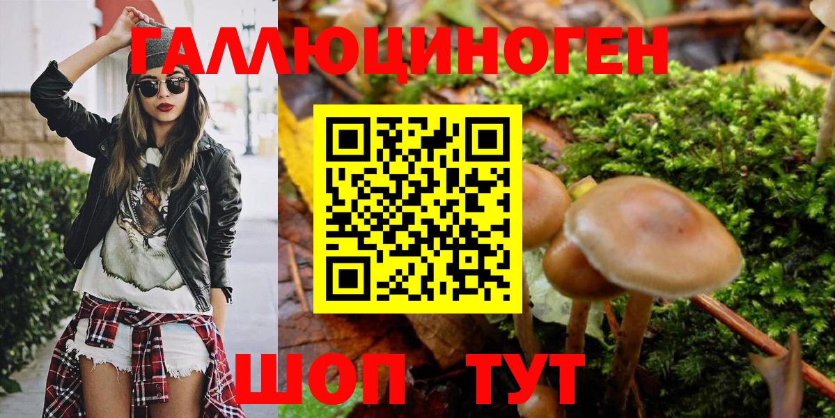 Галлюциногенные грибы Psilocybe Камышлов