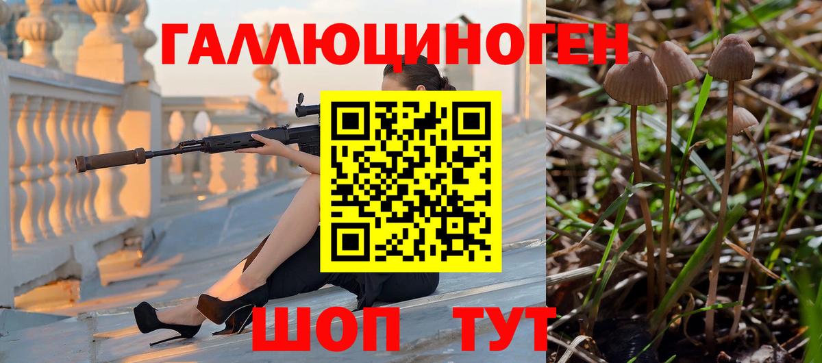 Камышлов  Псилоцибиновые грибы ЛСД  Вход с VPN 